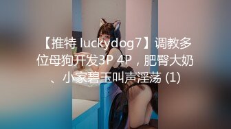 【推特 luckydog7】调教多位母狗开发3P 4P，肥臀大奶、小家碧玉叫声淫荡 (1)